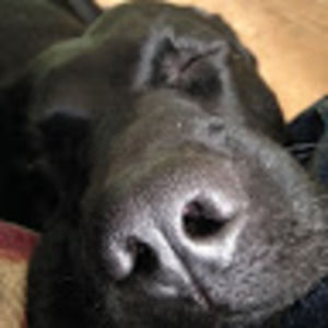 Meet your Posher, Aj